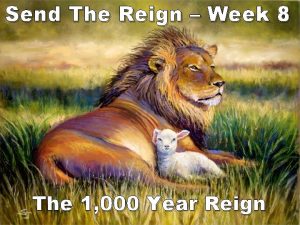 Send The Reign Week 8 The 1 000