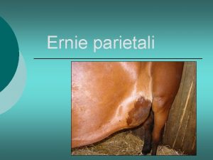 Ernie parietali eziologia Cause congenite Acquisite l l