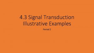 4 3 Signal Transduction Illustrative Examples Period 2