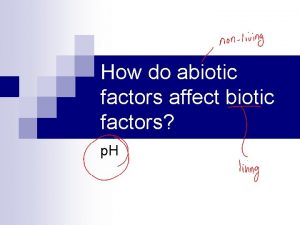 How do abiotic factors affect biotic factors p
