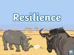 Resilience Some materials are able to bounce back
