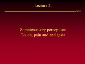 Lecture 2 PS 1003 Somatosensory perception Touch pain
