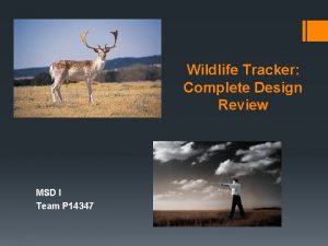 Wildlife Tracker Complete Design Review MSD I Team