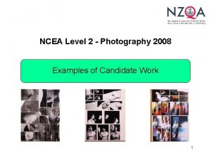 NCEA Level 2 Photography 2008 Examples of Candidate