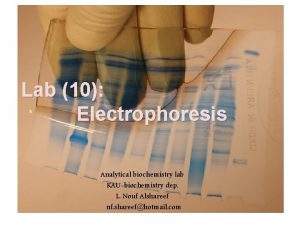 Lab 10 Electrophoresis Analytical biochemistry lab KAUbiochemistry dep