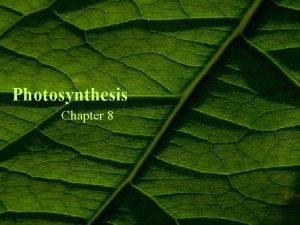Photosynthesis Chapter 8 Trophs Autotrophs Heterotrophs The Meaning Photosynthesis Chapter 8 Trophs Autotrophs Heterotrophs The Meaning