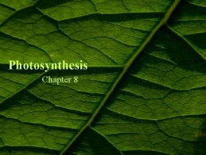 Photosynthesis Chapter 8 Trophs Autotrophs Heterotrophs The Meaning