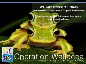 WALLACE RESOURCE LIBRARY Module 04 Ecosystems Tropical Rainforests