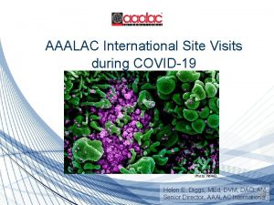 AAALAC International Site Visits during COVID19 Photo NIAID
