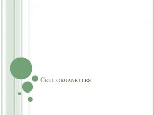 CELL ORGANELLES Nucleu s Golgi apparatus Not in