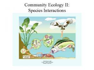 Community Ecology II Species Interactions Ecological communities Assemblages