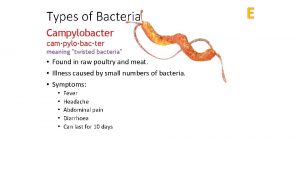 Types of Bacteria Campylobacter campylobacter meaning twisted bacteria