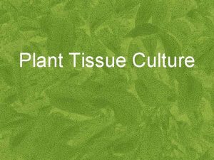 Plant Tissue Culture What is Plant Tissue Culture