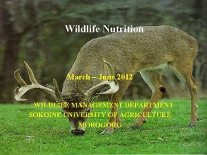 Wildlife Nutrition March June 2012 WILDLIFE MANAGEMENT DEPARTMENT
