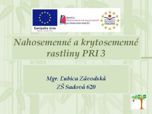 Nahosemenn a krytosemenn rastliny PRI 3 Mgr ubica