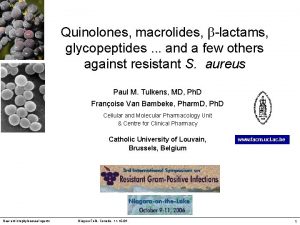 Quinolones macrolides lactams glycopeptides and a few others