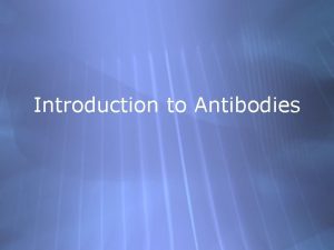 Introduction to Antibodies How are antibodies produced Produced