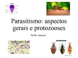Parasitismo aspectos gerais e protozooses Profa Jessyca Definies