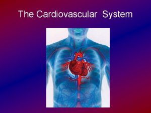 The Cardiovascular System Introduction Composed of the heart