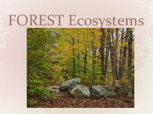 FOREST Ecosystems Description Forests represent a third of