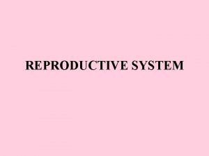 REPRODUCTIVE SYSTEM Besides producing offspring what is another