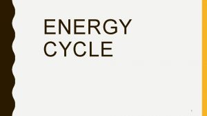 ENERGY CYCLE 1 COMMUNITY INTERRELATIONSHIPS Symbiosis Mutualism Commensalism