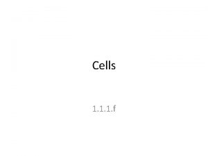 Cells 1 1 1 f compare the ultrastructure