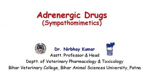Adrenergic Drugs Sympathomimetics Dr Nirbhay Kumar Asstt Professor