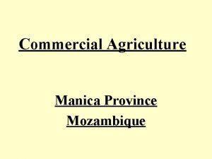 Commercial Agriculture Manica Province Mozambique Competitive Can Mozambique