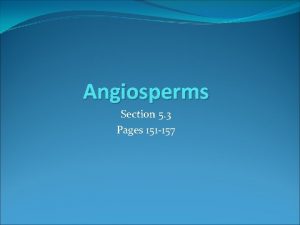Angiosperms Section 5 3 Pages 151 157 Angiosperms