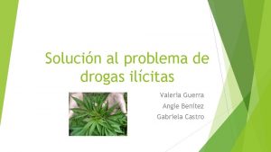 Solucin al problema de drogas ilcitas Valeria Guerra