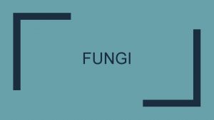 FUNGI Are they Plants Plants Eukaryotes Cell walls