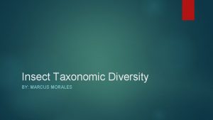 Insect Taxonomic Diversity BY MARCUS MORALES Insect Orders