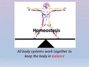 All body systems work together to keep the