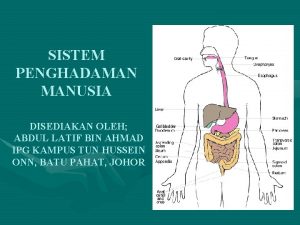 SISTEM PENGHADAMAN MANUSIA DISEDIAKAN OLEH ABDUL LATIF BIN