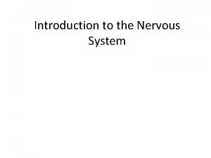 Introduction to the Nervous System CNS and PNS