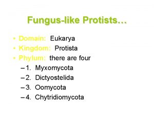Funguslike Protists Domain Eukarya Kingdom Protista Phylum there