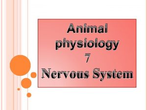 Animal physiology 7 Nervous System Nervous System The