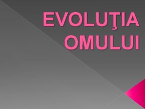 EVOLUIA OMULUI Omul ocup n regnul animal urmatoarea