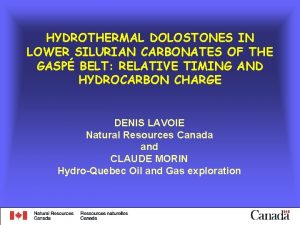 HYDROTHERMAL DOLOSTONES IN LOWER SILURIAN CARBONATES OF THE