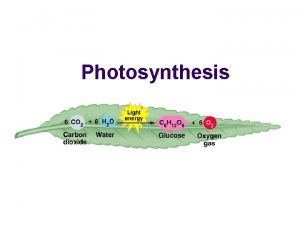 Photosynthesis PROCESS OF PHOTOSYNTHESIS What is Photosynthesis the