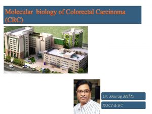 Dr Anurag Mehta RGCI RC 1 CRC is