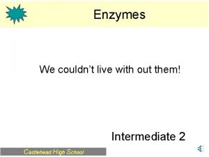 Enzymes We couldnt live with out them Intermediate