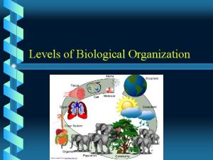 Levels of Biological Organization Biosphere Our entire planet