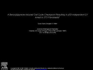 A Benzoapyreneinduced Cell Cycle Checkpoint Resulting in p