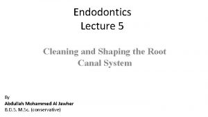 Endodontics Lecture 5 Cleaning and Shaping the Root