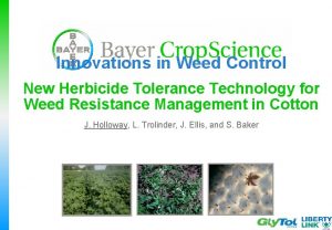 Innovations in Weed Control New Herbicide Tolerance Technology