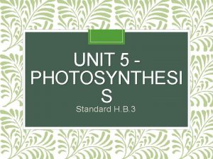 UNIT 5 PHOTOSYNTHESI S Standard H B 3