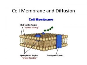Cell Membrane and Diffusion Diffusion Demo 1 What