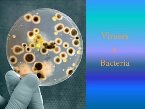 Viruses Bacteria Viruses are much smaller than bacteria